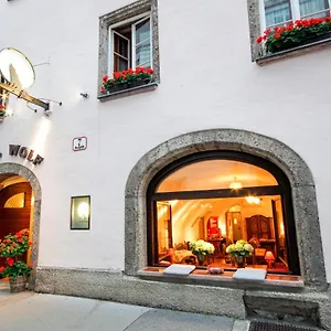 Wolf **** Salzburg